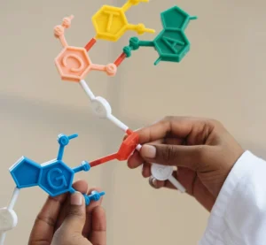 Handen houden een kleurrijk DNA-model van speelgoed vast dat de genen A, T, G en C toont.