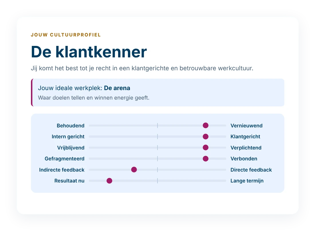 Voorbeeld van een persoonlijk cultuurprofiel uit de mini-analyse