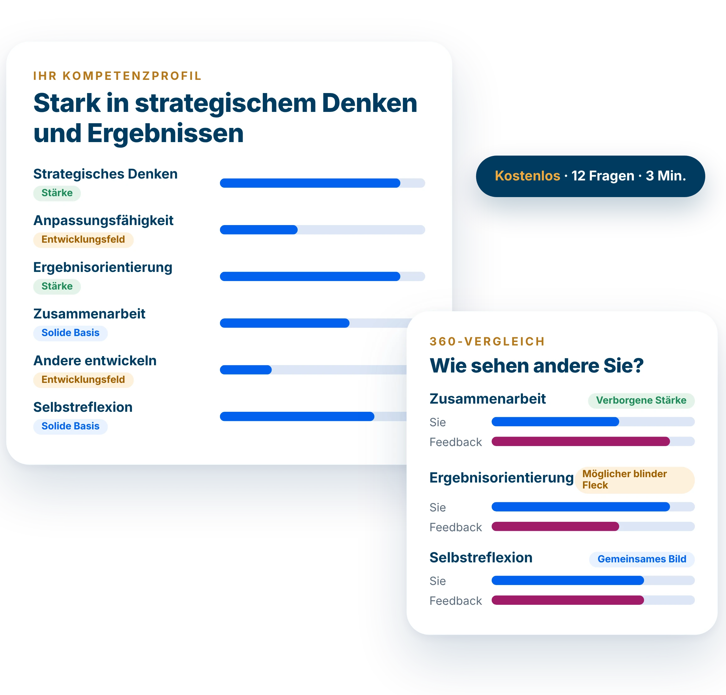 Beispiel für ein Kompetenzprofil und einen 360-Vergleich aus der kostenlosen 360 Mini-Analyse