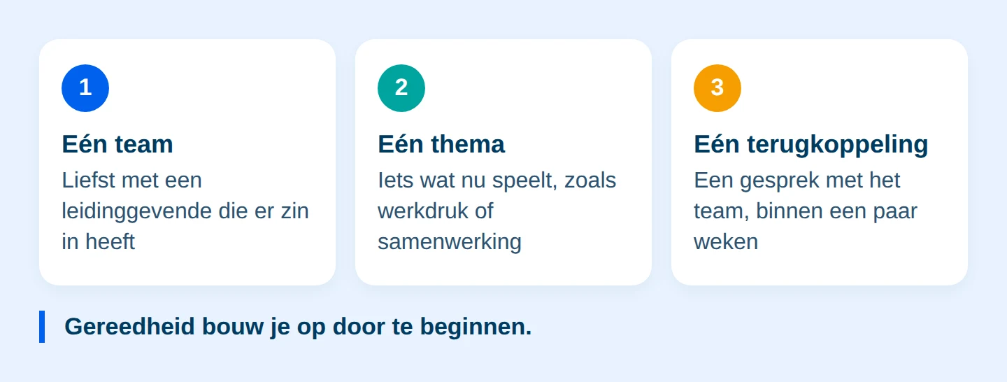Schema: Een pilot met een pulse survey: klein, maar echt